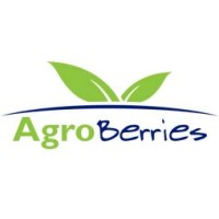 Agroberries México logo - Similar company to Didihu Global