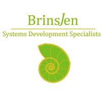 BrinsJen Systems Development Specialists logo - Similar company to Engineered Systems Development Inc.