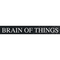 Brain of Things logo - Similar company to Torqueagi