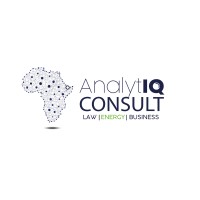 AnalytIQ Consult logo - Similar company to Djibouti Consulting Group (Dcg)
