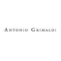 Antonio Grimaldi s.r.l. logo - Similar company to Dan More