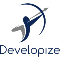 Developize logo - Similar company to Minelevator