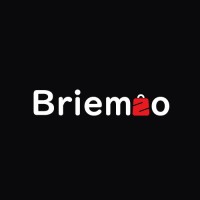 Briemzo logo - Similar company to Piece Of Web