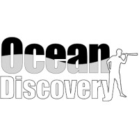 Ocean Discovery logo - Similar company to Deepersense