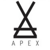 APEX | Expressão gráfica logo - Similar company to Sid Special Paint