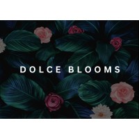 Dolce blooms