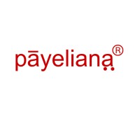 Payeliana® logo - Similar company to Technoware