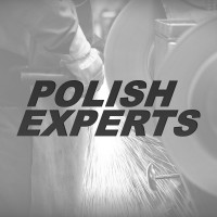 Polish Experts