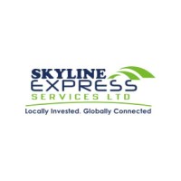 Skyline Express Services Ltd logo - Similar company to Ck Logistics