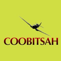 COOBITSAH logo - Similar company to Clebex