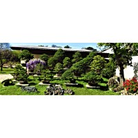 Bonsai Wu logo - Similar company to Vivero Kogiso