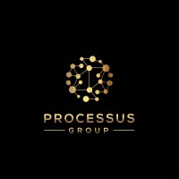 Processus Group LLC logo - Similar company to The Aspiring Phoenix Foundation