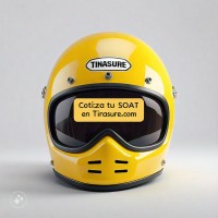 TINA SURE logo - Similar company to Lizigo