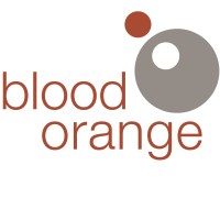 Blood Orange logo - Similar company to Blue Moon Consulting Group