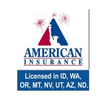 American Insurance Agency logo - Similar company to Working Together Worldwide