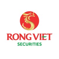 Viet Dragon Securities logo - Similar company to Vietcap Securities