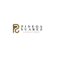 PINEDA SUAREZ CONSULTORES logo - Similar company to Consultaneo