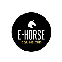E-horse