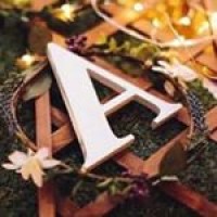 Alpha Woman logo - Similar company to Alpha Woman Co