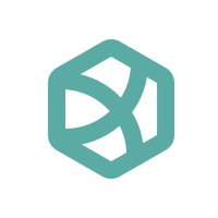 Radical Tech Solutions logo - Similar company to Brisk Tech Solution