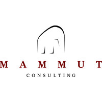 MAMMUT Consulting GmbH logo - Similar company to Futurecfo