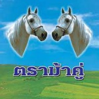 K.P.M Textile Co.,Ltd ผ้าตราม้าคู่ logo - Similar company to The Fruit Factory