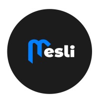 MESLI CONSULTING logo - Similar company to Ingeniva Bv