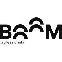 Boom professionals logo - Similar company to Pindirect By Cyber & Mason