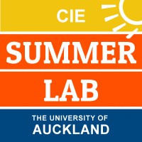 Summer Lab | Innovation & Entrepreneurship Programme logo - Similar company to Learn With Nimish