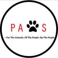 Pashupati Animal Welfare Society logo - Similar company to Kotik Foundation