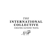 The International Collective logo - Similar company to Pc Management Services, Llc