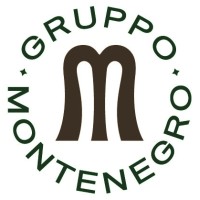 Gruppo Montenegro logo - Similar company to Coswell S.P.A.