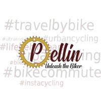 Pellin - Unleash the Biker logo - Similar company to Snakebyte Development