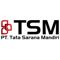 TSM TECHNOLOGIES logo - Similar company to Apiary Academy