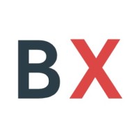 BridgingX logo - Similar company to Sparkybit | Salesforce Consulting Partner