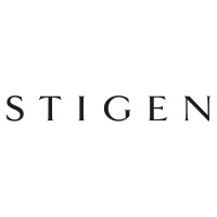 STIGEN logo - Similar company to Stigen