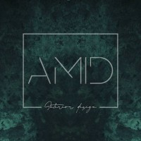 AMID Studio logo - Similar company to Upgrid Software