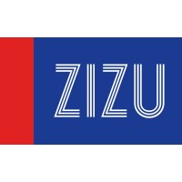 ZiZu Software Solutions logo - Similar company to Mindspring Software