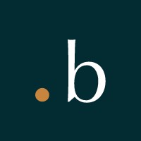 Boram logo - Similar company to Villyge
