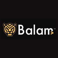Balam México logo - Similar company to Taktikdata