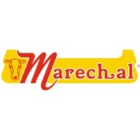 Marechal Comercial De Alimentos Ltda logo - Similar company to Mansur - Marechal Alimentos