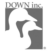 DOWN inc. logo - Similar company to Abbott Collection