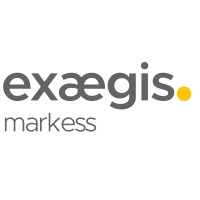 Exaegis Markess logo - Similar company to Idc It Solutions