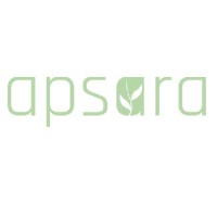 Apsara Investments Pte Ltd logo - Similar company to Netyce