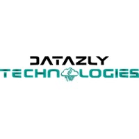 Datazly Technologies Ltd logo - Similar company to Next Solutions Lab