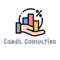 Camel Consulting logo - Similar company to Look I Like