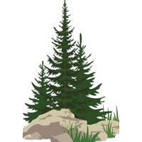 Pine Grove CRM Consulting logo - Similar company to Nehmedia, Inc.