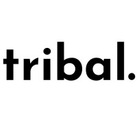 Tribal Digital logo - Similar company to Tribal