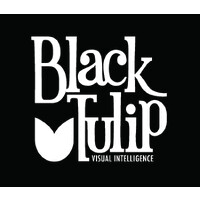 Black Tulip Visual Inteligence logo - Similar company to Comunicore Comunicação E Mkt