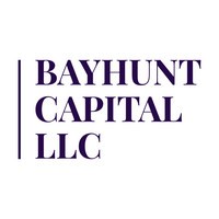Bayhunt Capital LLC logo - Similar company to Helianthus Group